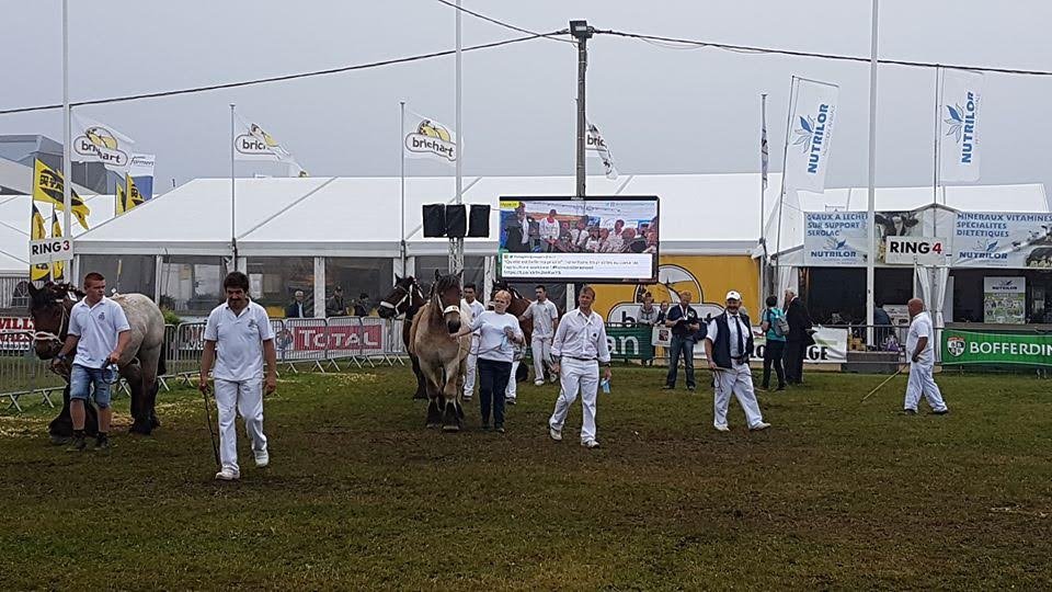 Le public du ring suit le concours sur l'écran LED