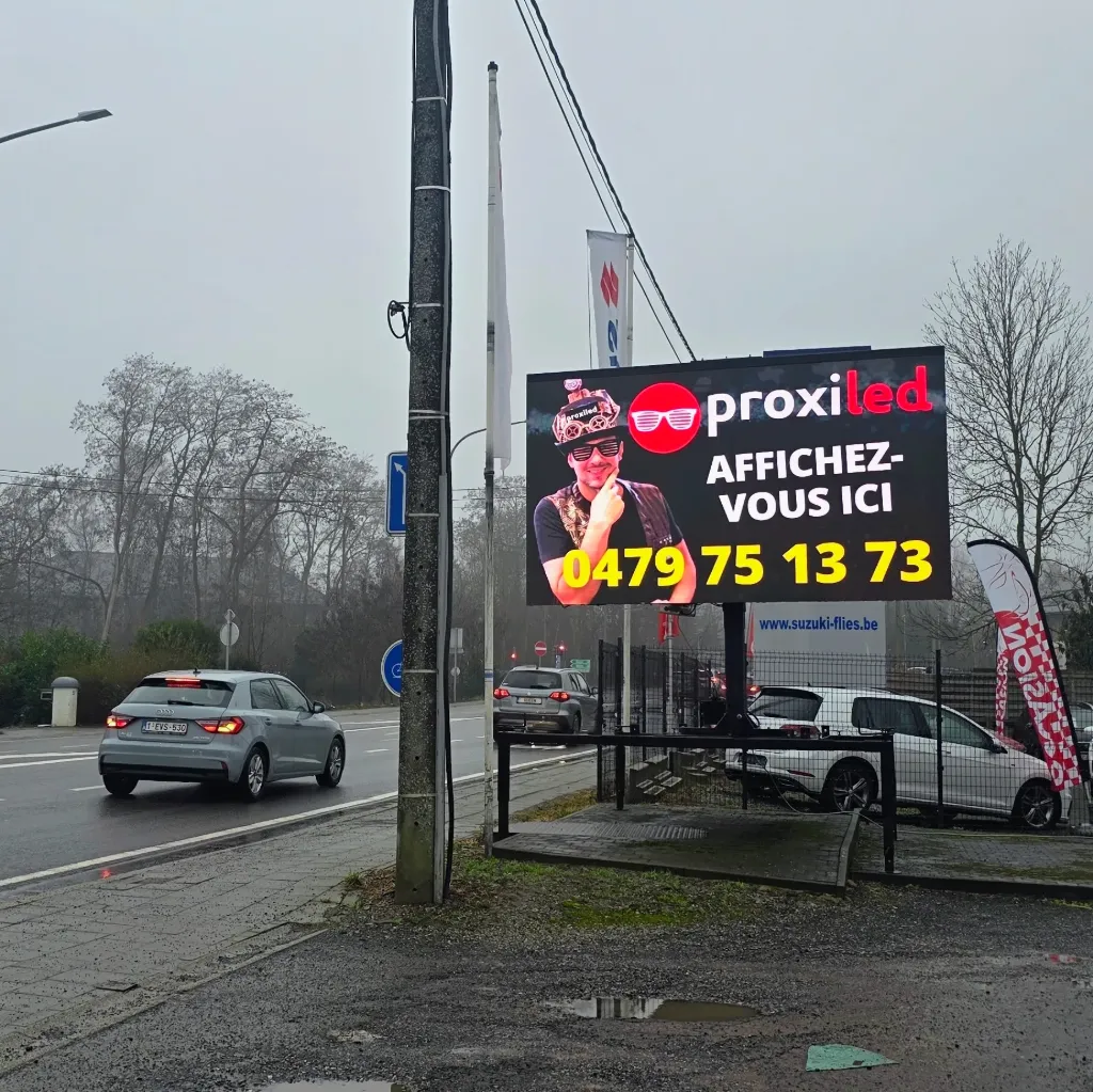 [1420-SUZUKIF] Campagne in Braine-l'Alleud (Suzuki Flies)